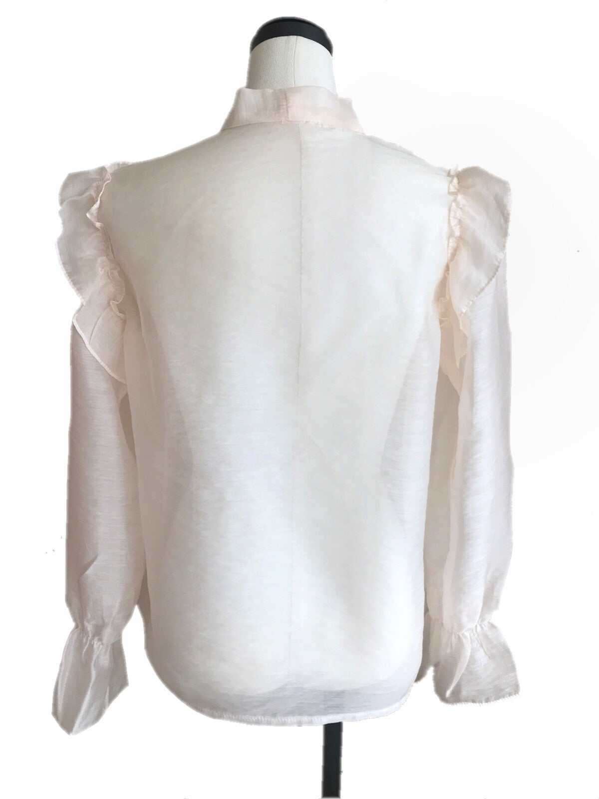 Sheer classical blouse