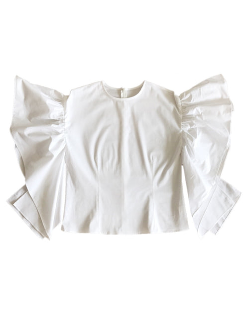 Frill design blouse